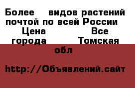 Более200 видов растений почтой по всей России › Цена ­ 100-500 - Все города  »    . Томская обл.